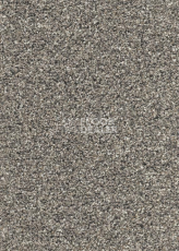 Ковролин AW Stainguard Harvest 48 фото 1 | FLOORDEALER